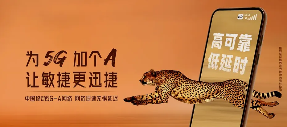 弋阳县弋阳县中畈乡 移动宽带
